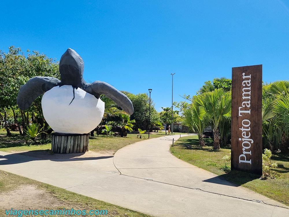 Projeto Tamar de Aracaju SE