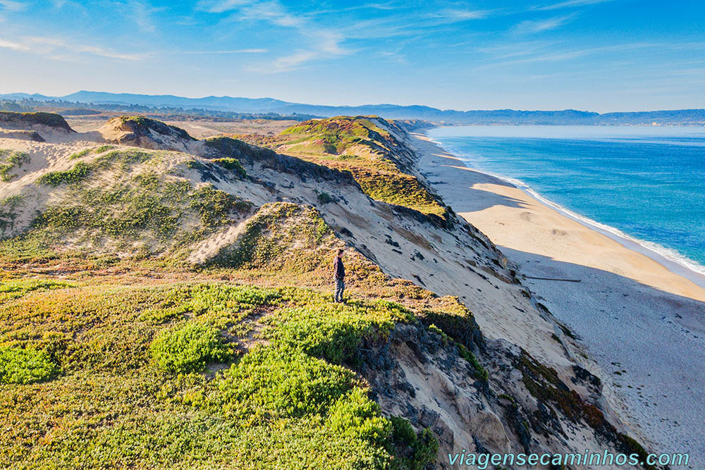Monterey - Fort Ord Dunes State Park