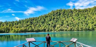 Parque Nacional Puyehue - Lago Toro