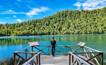 Parque Nacional Puyehue - Lago Toro