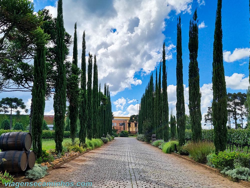 Entrada da Vinícola Campestre - Vacaria