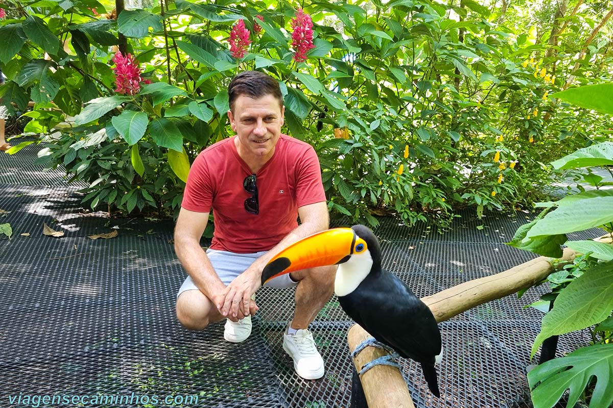 Foz do Iguaçu - Parque das Aves