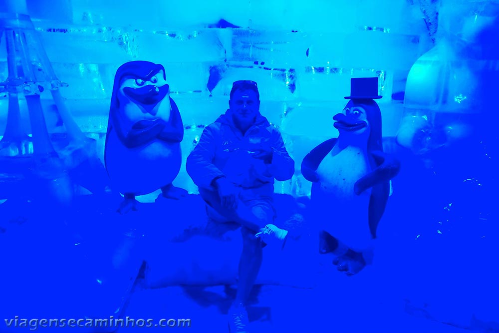 Ice Bar - Foz do Iguaçu