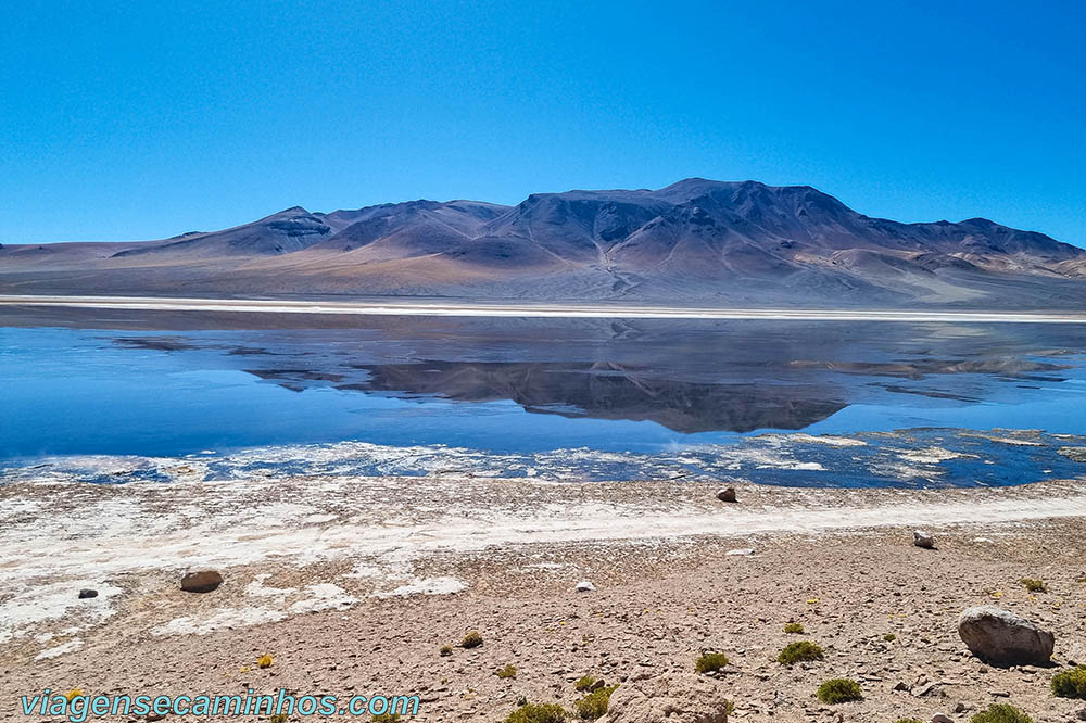 Rota dos Salares - Laguna Negra