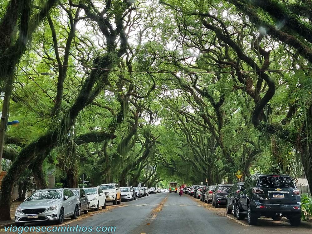 Rua mais bonita de Foz