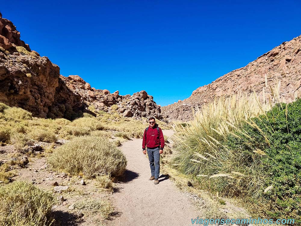 Trekking Guatin - Atacama