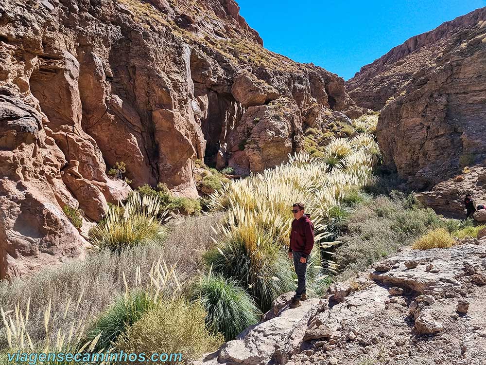 Trekking de Puritama - Atacama