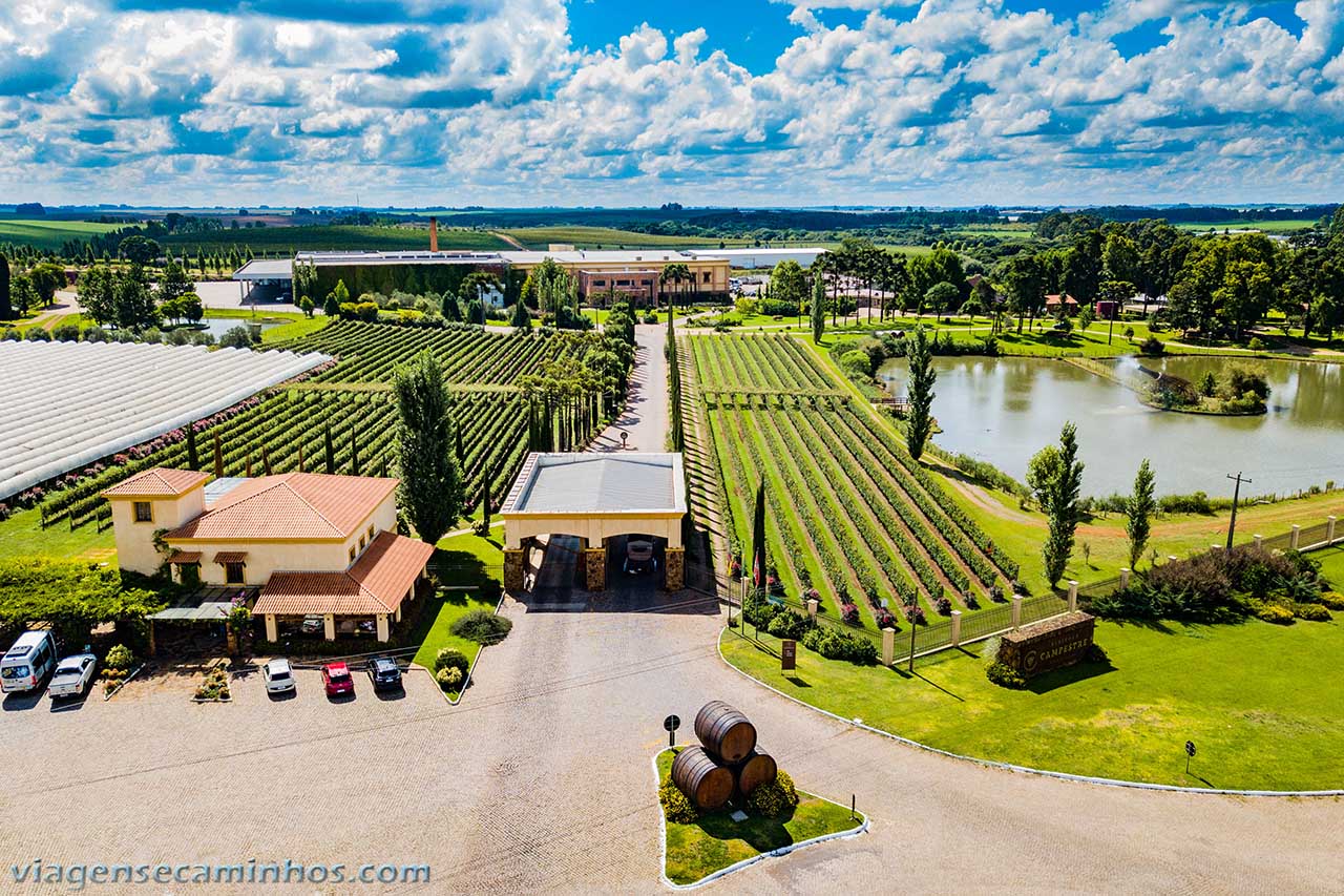 Vinícola Campestre