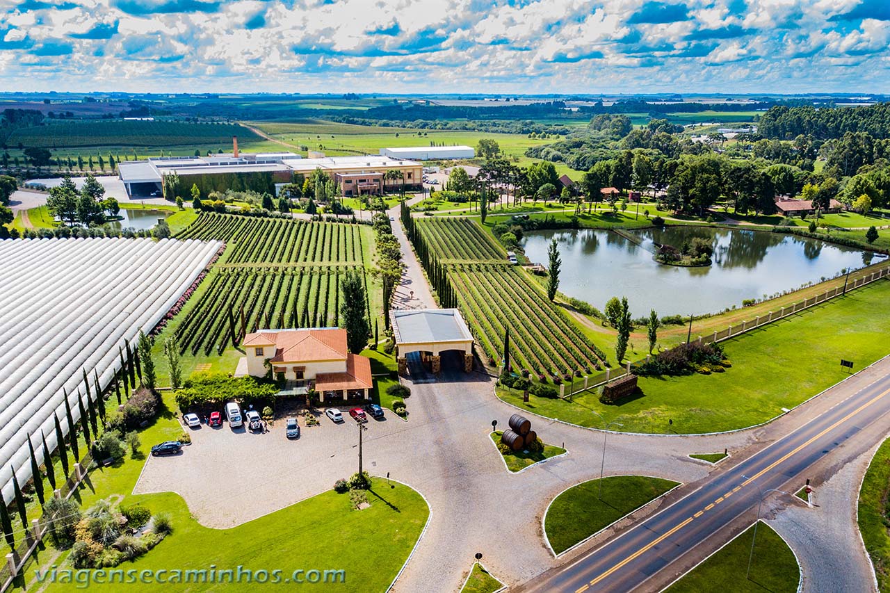 Vinícola Campestre - Vacaria