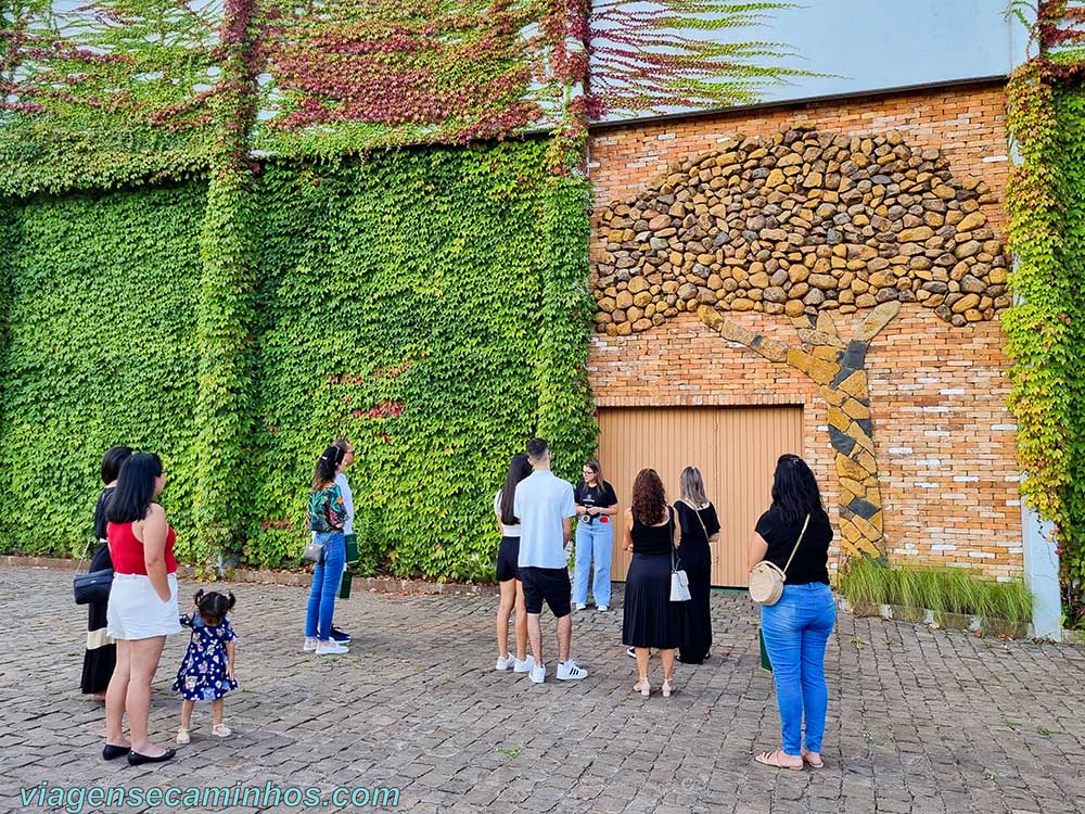 Visitação guiada na Vinícola Campestre