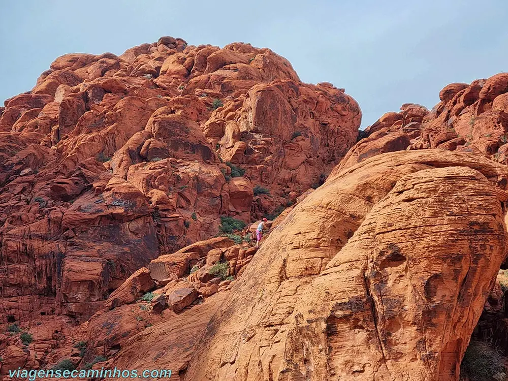 Escalada no Red Rock Canyon