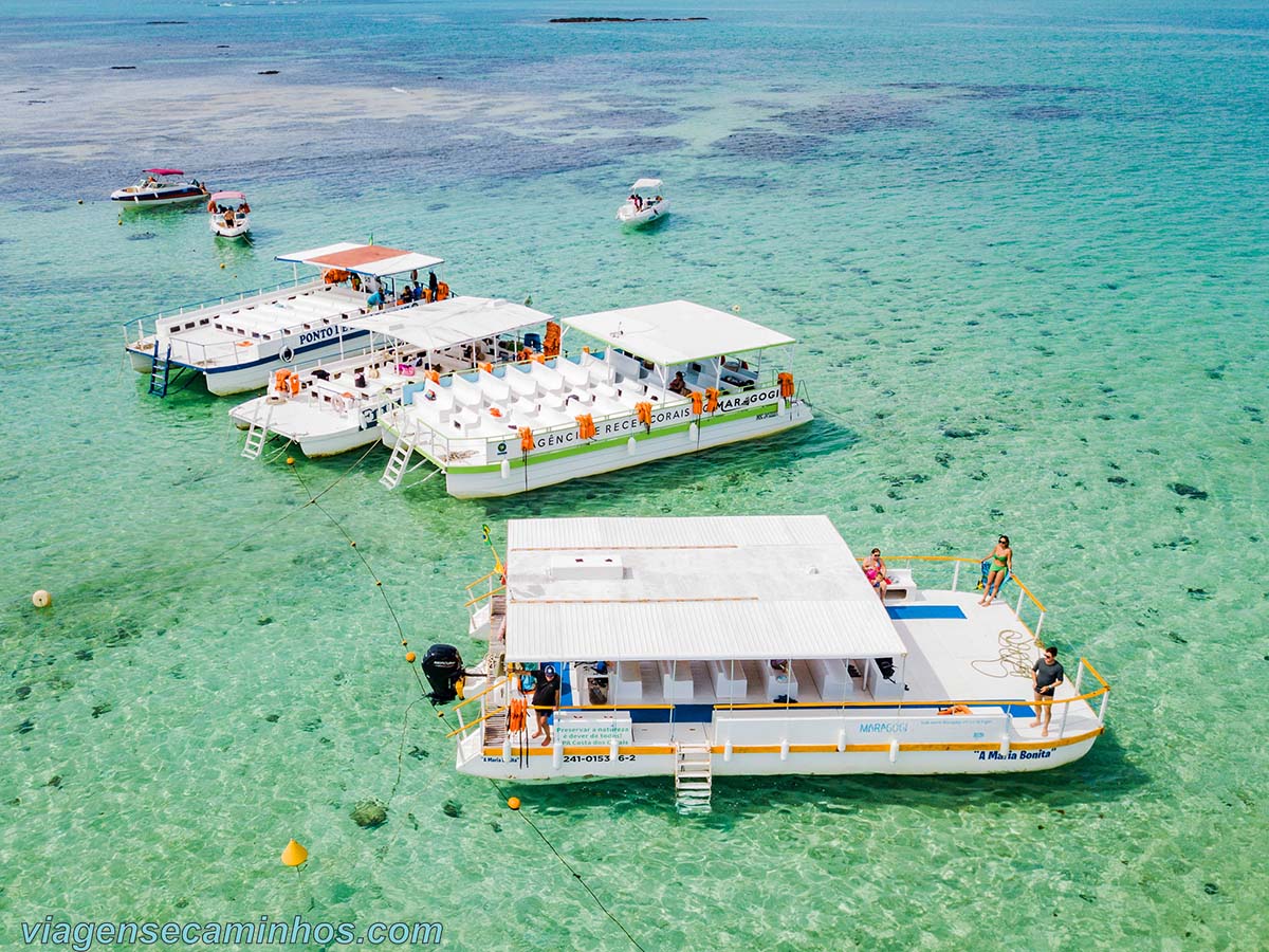 Passeio de barco nas piscinas naturais de Maragogi