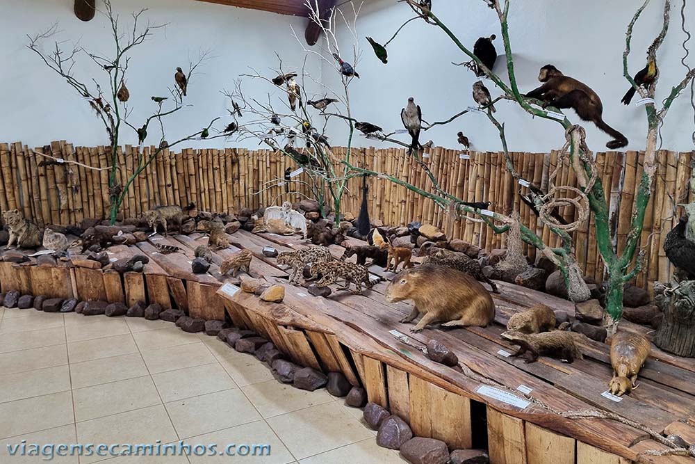 Museu no Parque Estadual do Turvo