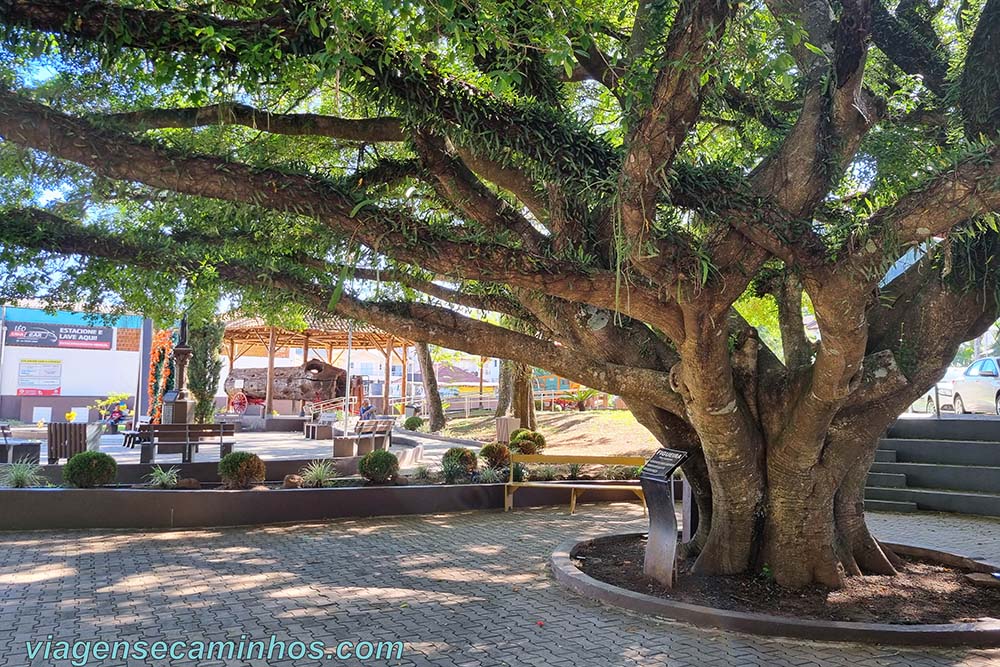 Praça dos Imigrantes - Itapiranga SC