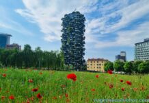 O que fazer em Milão - Bosco Verticale