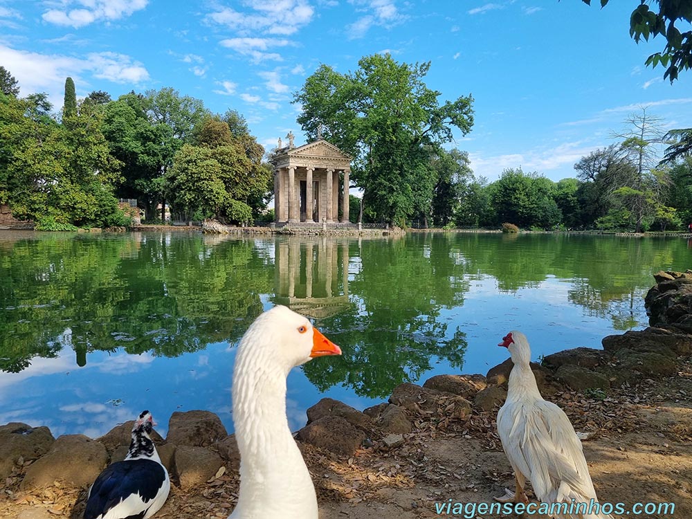 Tiempo di Sculapi - Jardins da Villa Borghese - Roma