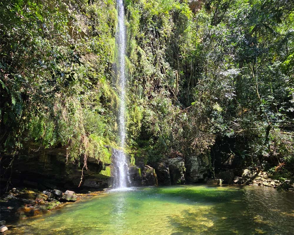 Cachoeira do Gordura - Delfinópolis MG