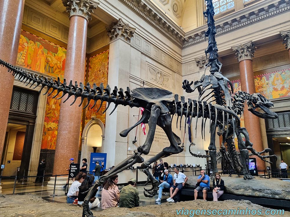 Museu Americano de História Natura - Nova York