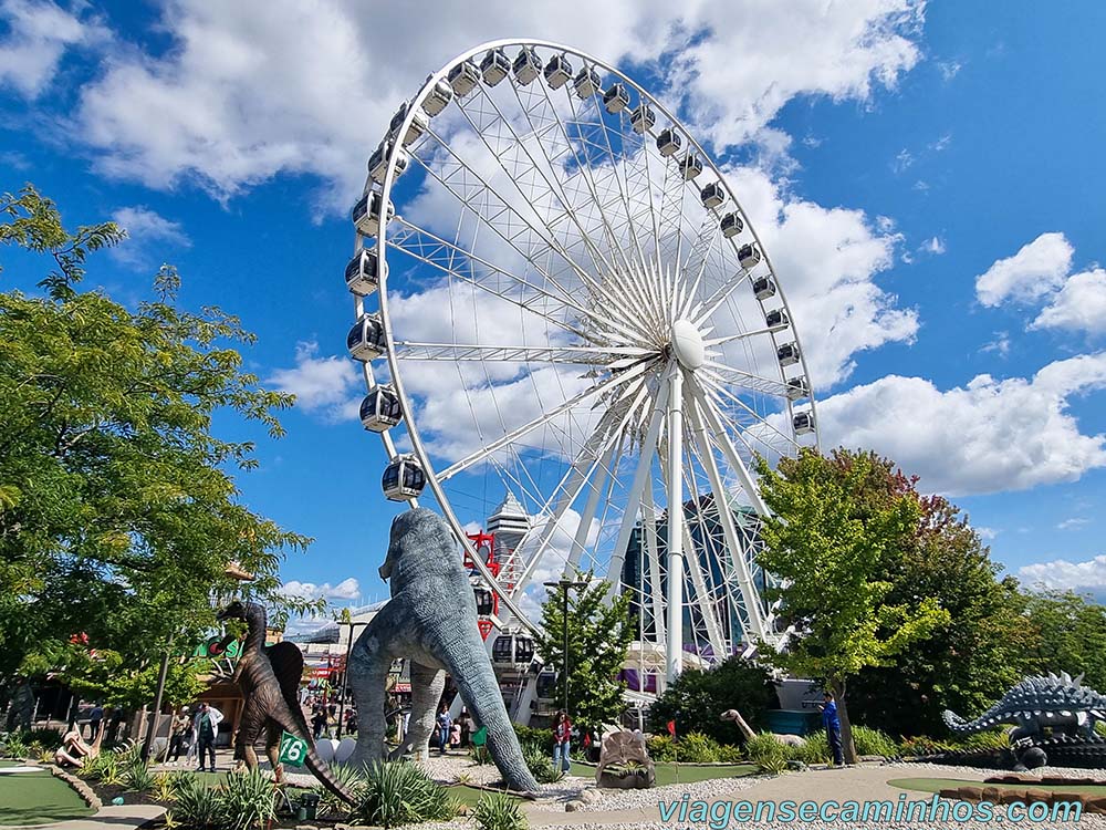 Niagara Skywhell