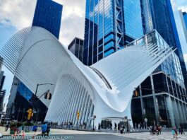 Picture of Image result for Theater industry urban planning jobs