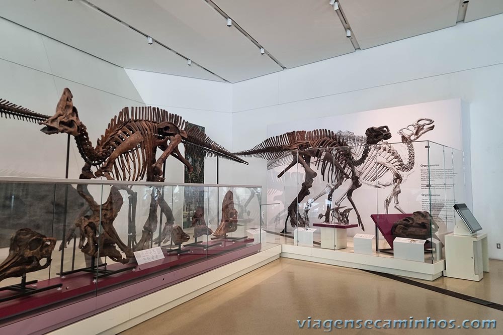 Museu Real de Ontário - Toronto