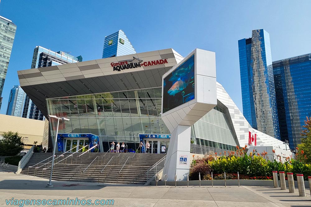 O que fazer em Toronto - Ripleys Aquarium