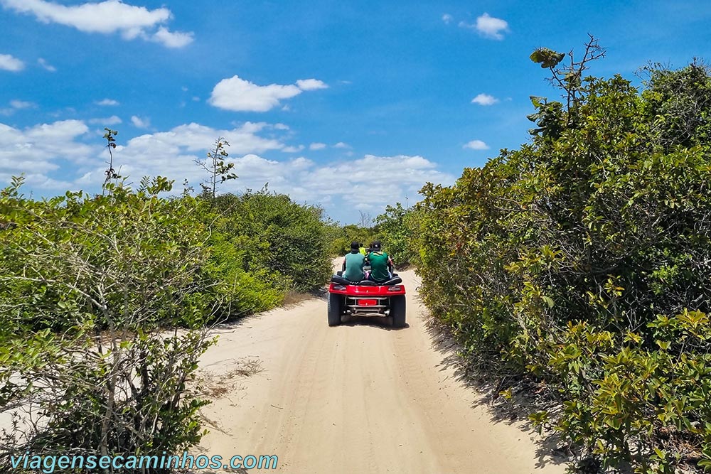 Buggy no tour leste de Jericoacoara