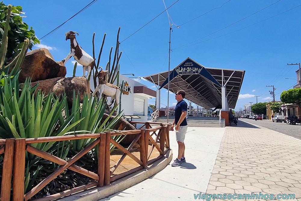 Monumento dos Bodes e Rua Coberta de Cabaceiras