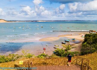 Baía Formosa RN: praias, atrações e passeios Baía Formosa RN