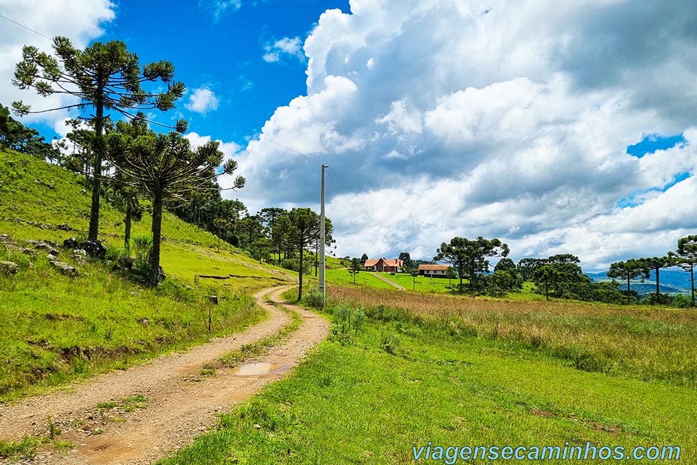 Fazenda Pinheirão - São Joaquim SC