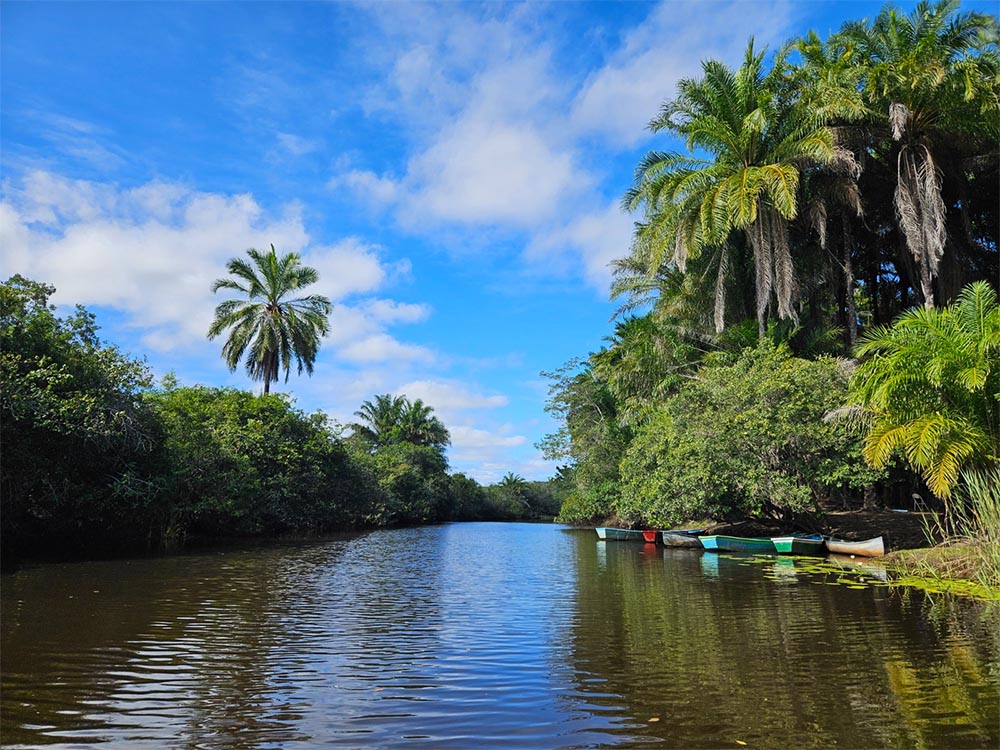 Pantanal Marimbus - Lençóis - Bahia
