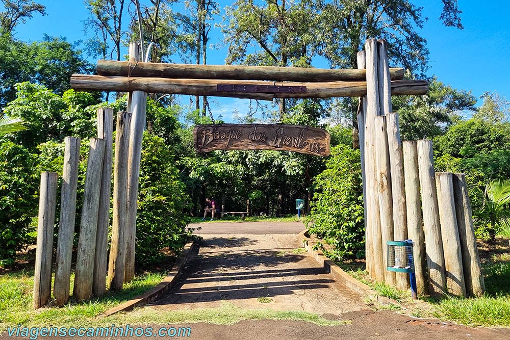 Bosque das Grevíleas - Maringá