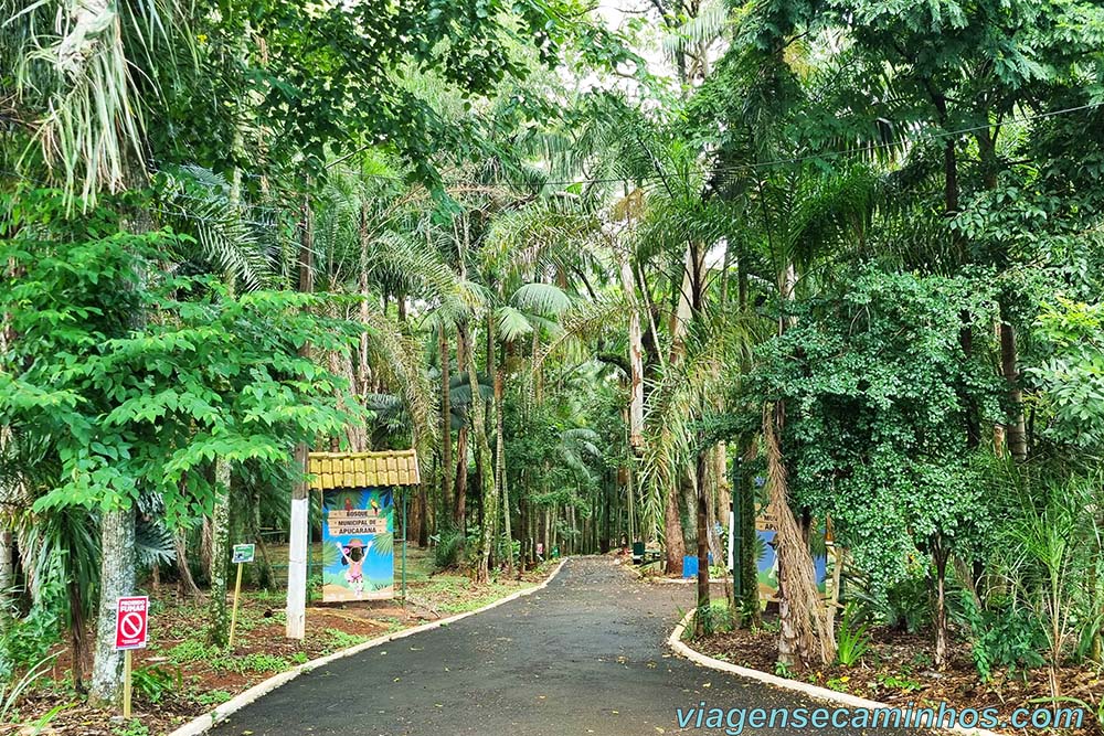 Bosque Municipal de Apucarana