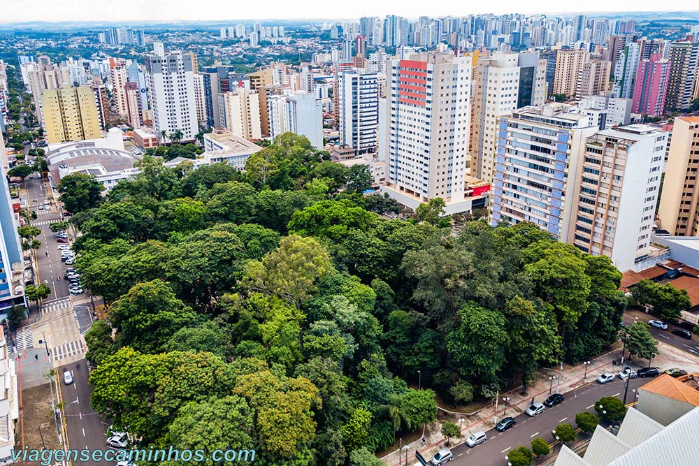 Londrina - Bosque Marechal Cândido Rondon