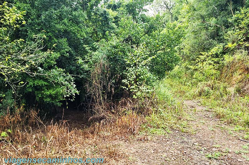 Bifurcação na trilha da Cascata Quebra Cabo