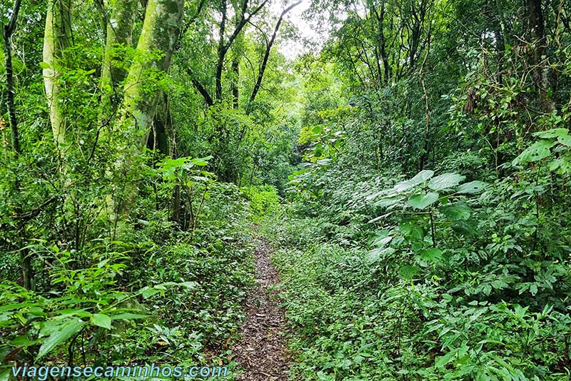 Trilha da Cascata Quebra Cabo