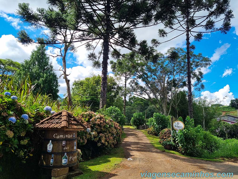 Vinícola Montemezzo - Rolante
