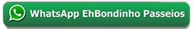 Entrar em contato com a agência EhBondinho!