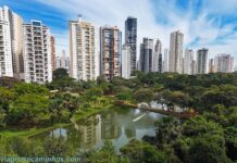 O que fazer Goiânia: 30 pontos turísticos Goiânia - Parque Flamboyant