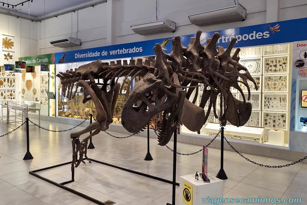 Museu da História Natural do Araguaia - Barra do Garças