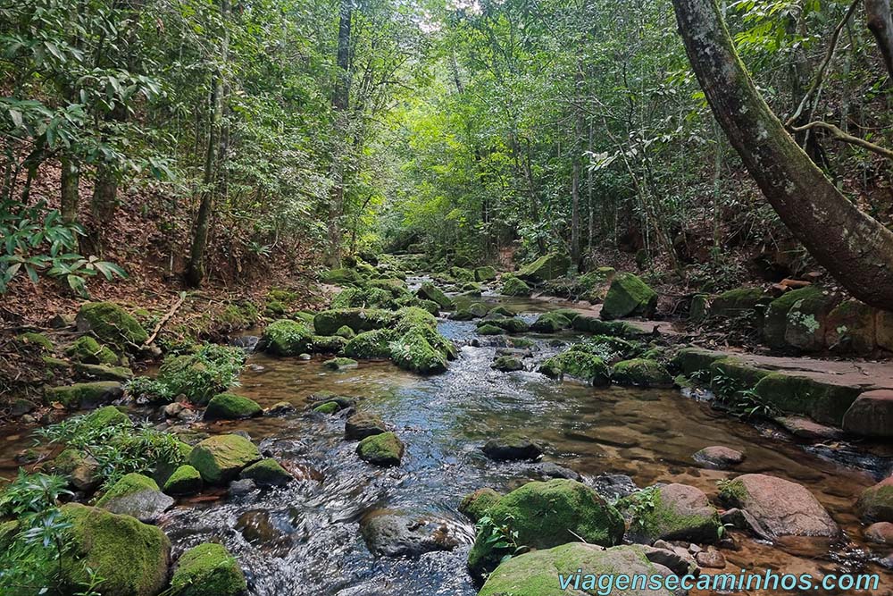 Trilha do Santuário das Araras