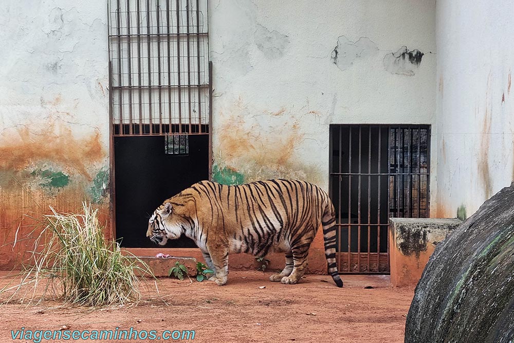 Zoológico de Goiânia