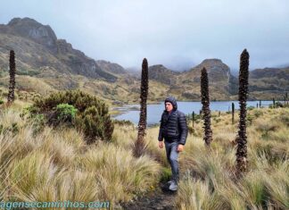 Parque Nacional Cajas, Equador: como chegar e visitar Parque Nacional Cajas - Equador