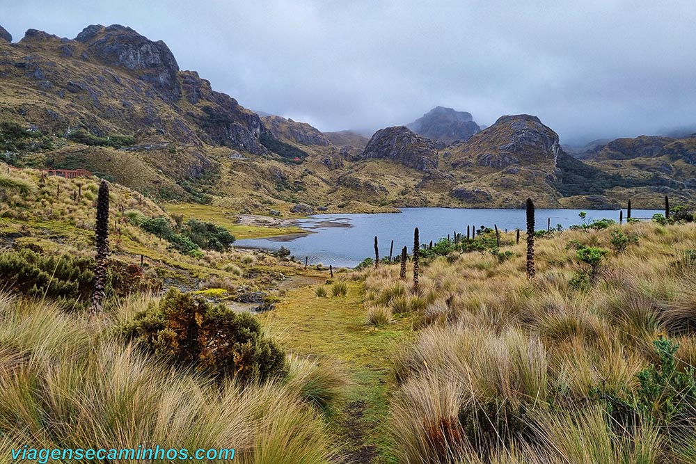 Parque Nacional de Cajas - Equador