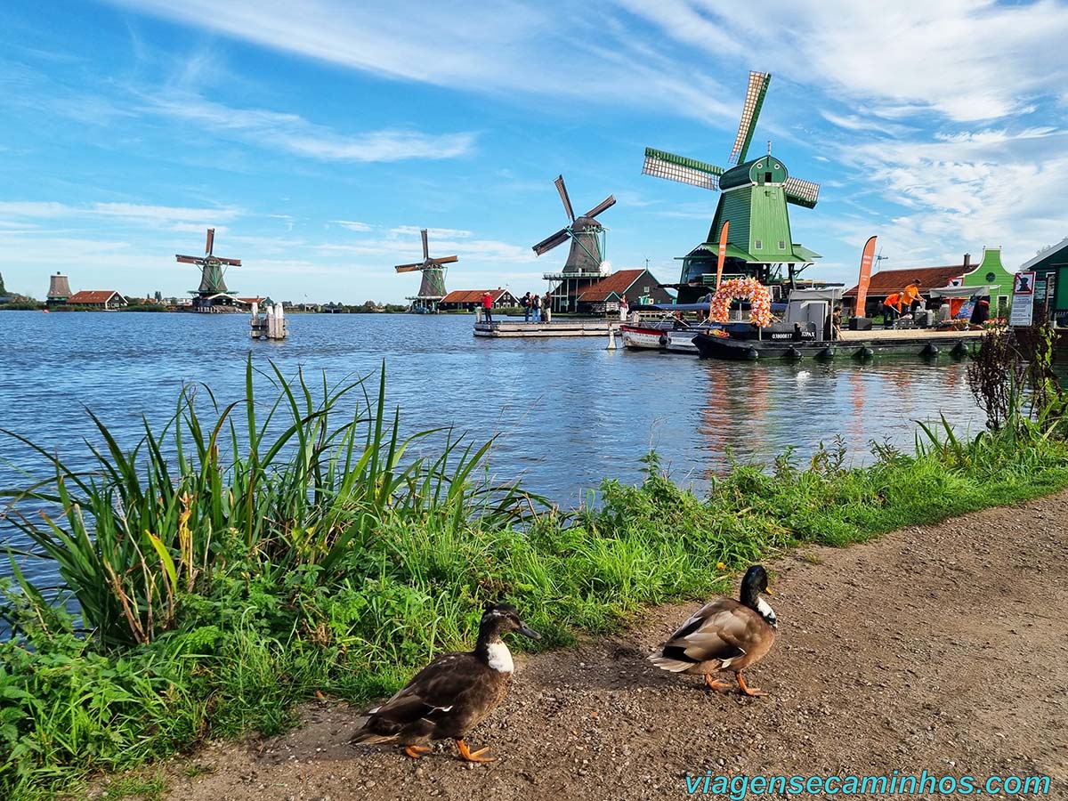 Moinhos de Vento de Zaanse Schans - Holanda