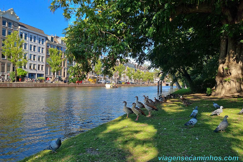 O que fazer em Amsterdam - Wertheimpark